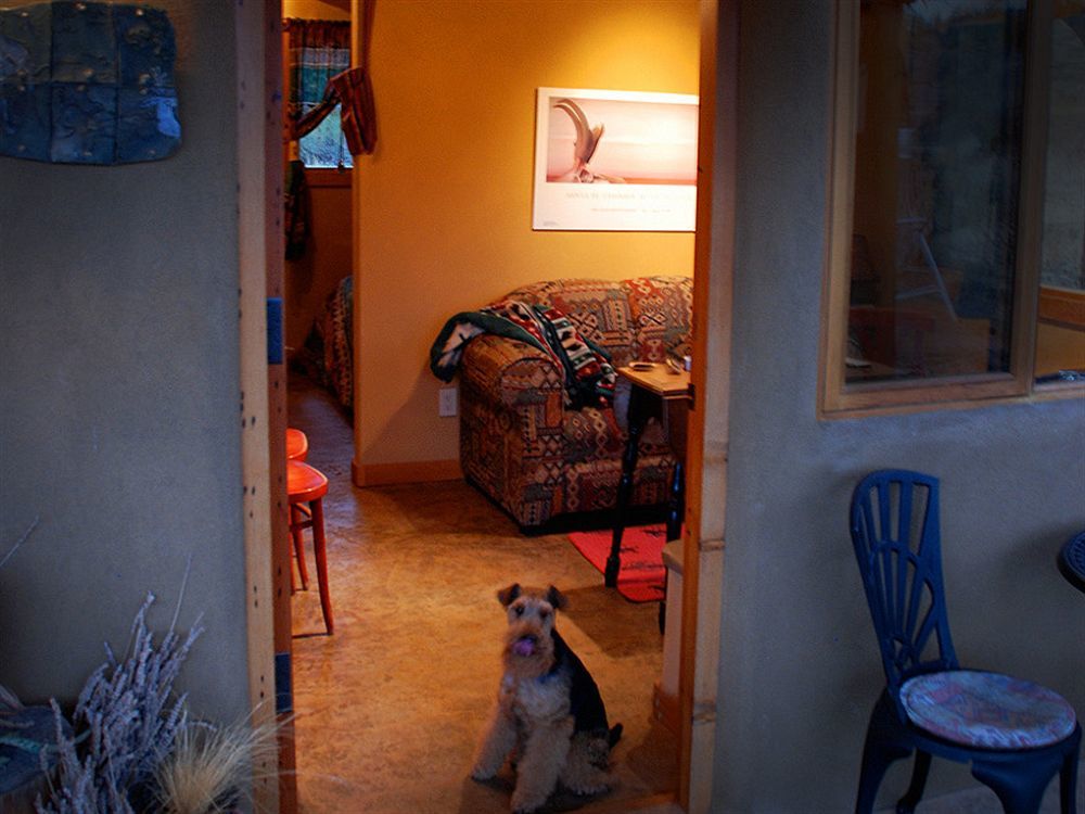 Bighorn Ridge Guesthouse Okanagan Falls Екстериор снимка
