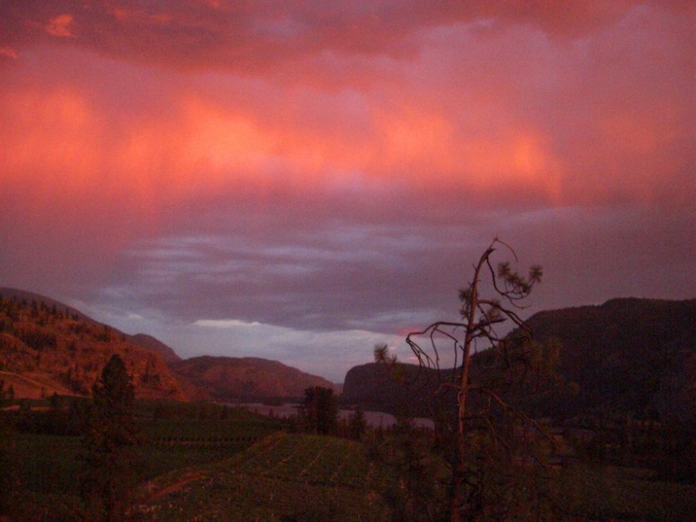 Bighorn Ridge Guesthouse Okanagan Falls Екстериор снимка