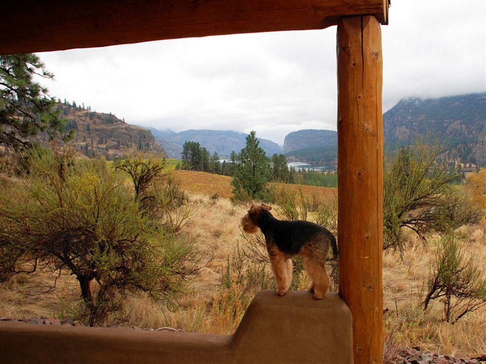 Bighorn Ridge Guesthouse Okanagan Falls Екстериор снимка