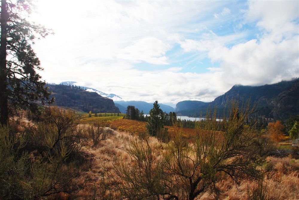 Bighorn Ridge Guesthouse Okanagan Falls Екстериор снимка