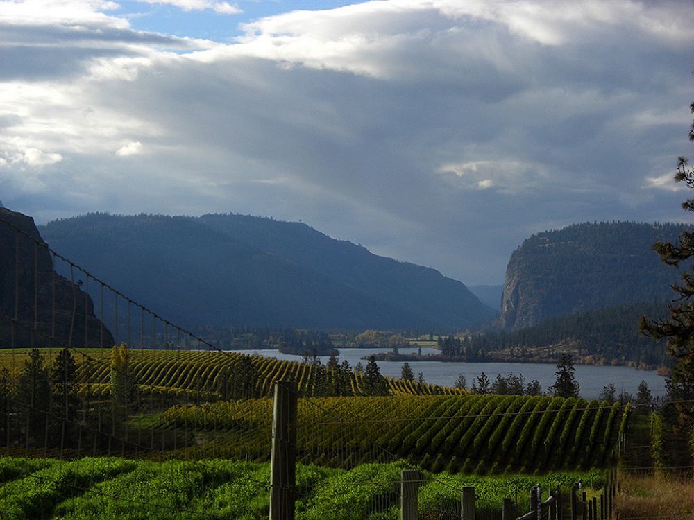 Bighorn Ridge Guesthouse Okanagan Falls Екстериор снимка