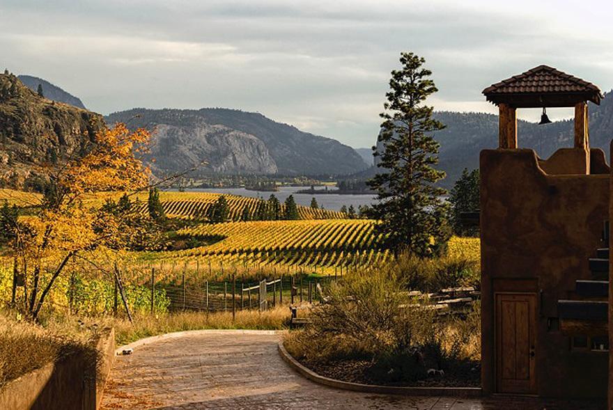 Bighorn Ridge Guesthouse Okanagan Falls Екстериор снимка